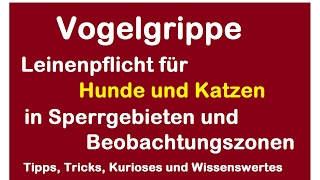 Vogelgrippe H5N8  2017 Sperrgebiete Hunde und Katzen mit Leinenzwang Sperrgebiet mit Leine [upl. by Maharba]