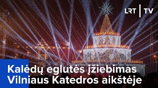 Kalėdų eglutės įžiebimas Vilniaus Katedros aikštėje  20231201 [upl. by Okiram]