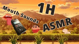 ASMR 1h of Mouth Sounds  Shinchan Shiro and The Coal Town [upl. by Faustena661]