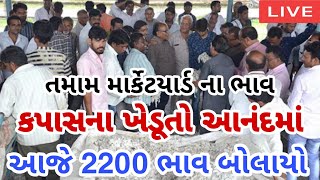 kapas na bhav  23102024  કપાસના ભાવ2024  Information about cotton crop price  Commodity Trend [upl. by Rufe]