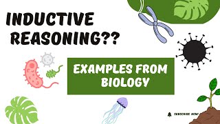 Hypothesis Testing in Biology  Inductive Reasoning [upl. by Htebesile]