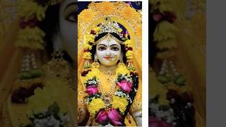 Barsane ki chatur gujariya bhajan vairalvideo bhaktisong rain radharani 🥰🥰🙏 [upl. by Madonna]