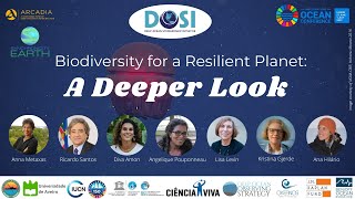 DOSI at the UN Ocean Conference DeepOcean Biodiversity Panel [upl. by Isadore]