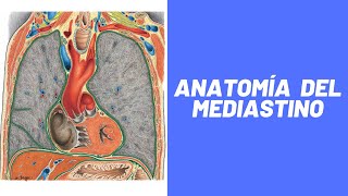 Anatomía del Mediastino 2020 [upl. by Akemal]