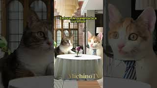 Es hora de presentarte a mi FAMILIA 😹😹😹 cat gatoschistosos musicapp gatoschistosos humor [upl. by Zsamot]