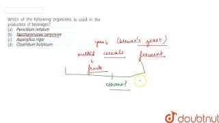 Which of the following organisms is used in the production of beverages [upl. by Hgielrebmik700]