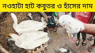 26 September  রাজশাহী গিরিবাজ কবুতর ও হাঁসের আপডেট দাম জানুন  নওহাটা হাট রাজশাহী  2024 [upl. by Eidnar]