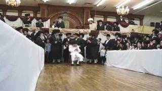 Hrhquotk MTosh Shlita Feering Tish on Purim [upl. by Revorg859]