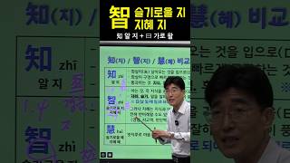 한자공부 한자급수 한자를 쉽고 빠르게 공부법 quot智 슬기로울 지 지혜 지quot [upl. by Ardnosak48]