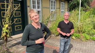 Live von Pias Bienenstand  26072024  Besuch in Celle [upl. by Odracer645]