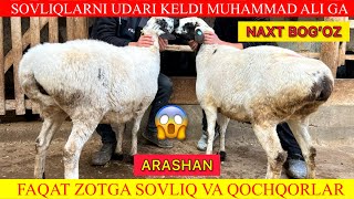 TOZZA ARASHAN VA XISSORI SOVLIQLAR VA QOCHQORLAR KELDI [upl. by Trebmer]