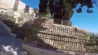 Trial of Jesus at Caiaphas House in Jerusalem [upl. by Allista107]