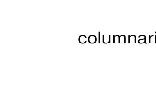 How to pronounce columnaris [upl. by Ellehsal]