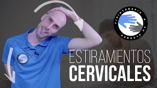 Rutina de estiramientos para las cervicales 15 MINUTOS [upl. by Kilroy]