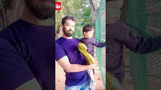 funny monkey shorts funny comedy monkey bandar cute trendingshorts shortsytshorts [upl. by Vikky]