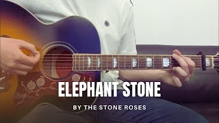 The Stone Roses  Elephant Stone cover [upl. by Belita]