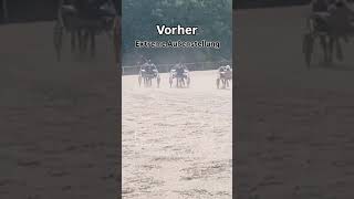 Vorher Nachher sportpferde Traber pferde pferdesport [upl. by Claribel]