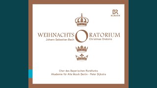 WeihnachtsOratorium BWV 248 Pt 1 Part I Aria Grosser Herr o starker Konig Bass [upl. by Pufahl]