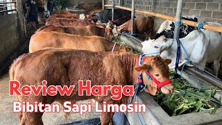 Review Harga Bibitan Sapi Limosin Simental di Grosir Sapi Murah sampai Super ada [upl. by Dnomzed142]