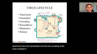 NPLEX I Review Virology [upl. by Nylirahs]