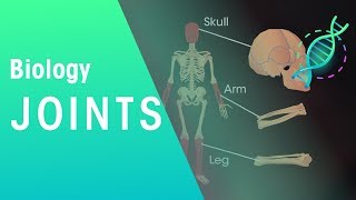 Joints  Physiology  Biology  FuseSchool [upl. by Fryd]