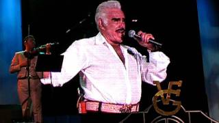 Vicente Fernandez  El Rey [upl. by Aicemaj]