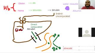 Gastrointestinal 1 GIT1 TOXIC USMLE Ibrahem Gamal شرح وحل معادلة امريكيةابراهيم جمال [upl. by Matazzoni214]