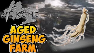 Aged Ginseng Farm Guide  Black Myth Wukong [upl. by Karalynn392]