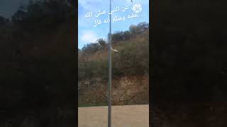 kénitra صلواعلىالنبي احاديث أدعية احاديث بحرمهديةالقنيطرةالمغرب وادسبوالقنيطرة [upl. by Ardnot630]