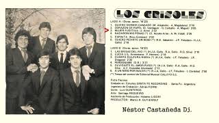 LOS CRISOLES Canta dulzura Disco Completo [upl. by Aligna558]