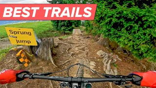 BEST MTB TRAIL IN THE WORLD 2 🌍💯 [upl. by Bagley]