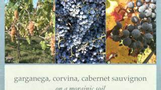 Le Vigne di San Pietro 2012 newmov [upl. by Tully]