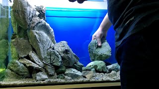 200 liters New Malawi Tank setup  Demasoni amp Interruptus [upl. by Aramoj534]