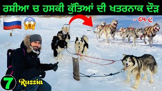 Dog Sledding in Russia🇷🇺 Siberian Husky  ਰਸ਼ੀਆ ਚ ਕੁੱਤਿਆ ਖਤਰਨਾਕ ਸਵਾਰੀ😱 [upl. by Alleira556]