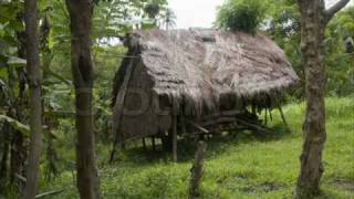 Tuvalu Gospel song Faleumu [upl. by Hartmann]