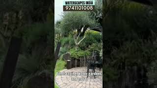 landscape gardendesign poollandscaping backyarddesign gardenlandscaping backyard [upl. by Farman447]