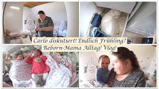 Carlo diskutiert  Alltag als Rebornmama  Vlog  Reborn Baby Deutsch  Little Reborn Nursery [upl. by Sonny]