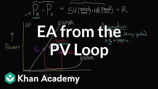 Getting Ea arterial elastance from the PV loop  NCLEXRN  Khan Academy [upl. by Rorke779]