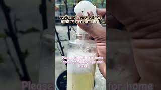 HOW TO MAKE INSECTICIDE AT HOME gardening terracegardeningathome floweringplant garden 🐝 [upl. by Holli63]