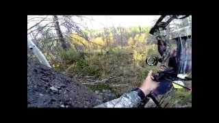 Montana Archery Elk 2014 [upl. by Ling]