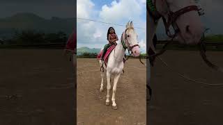 Dhruvi Horse 🐎 Riding  horse horses ghoda horseriding horselover ytvideo shortsfeed dhruhi [upl. by Keg]