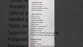 Sphenoid Bone Anatomy [upl. by Levitt]