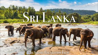 Sri Lanka 4K  Scenic Relaxation Film With Calming Music [upl. by Ehcor]