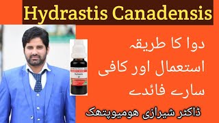 Hydrastis Can q Uses Homeopathic Medicine Hydrastis q Benefits  Dr Sherazi Homeopathic [upl. by Bright]