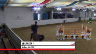 Showjumping  Arena UK Winter Grand Prix 2013 [upl. by Emmanuel961]