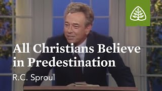 All Christians Believe in Predestination The Classic Collection with RC Sproul [upl. by Valley]