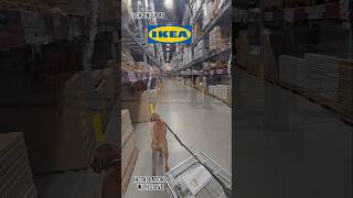 Loading up PAX wardrobes at IKEA with Cone diy homeinterior wardrobeorganizer [upl. by Jan63]