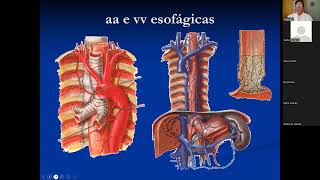 2022 02 21 ANATOMIA ENDOSCÓPICA DO TUBO DIGESTÓRIO BASES ANÁTOMOFISIOLÓGICAS DA CIRURGIA BARIÁTRICA [upl. by Prescott37]