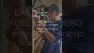 crowdfarming agriculture venezuela [upl. by Starling]