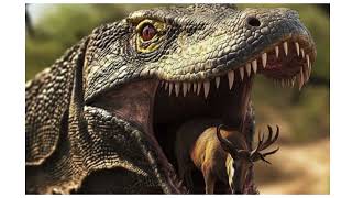 Amazing Facts About Komodo Dragons [upl. by Cloe]